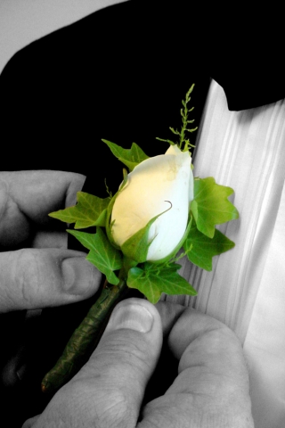 Hand Colored Boutonniere