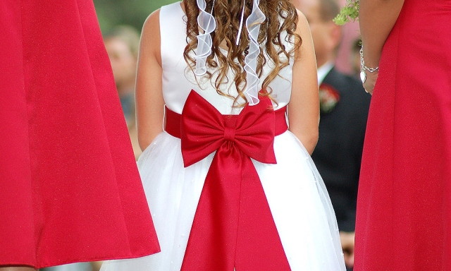Flower Girl Dress