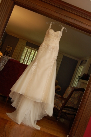 Wedding Gown Hero Shot